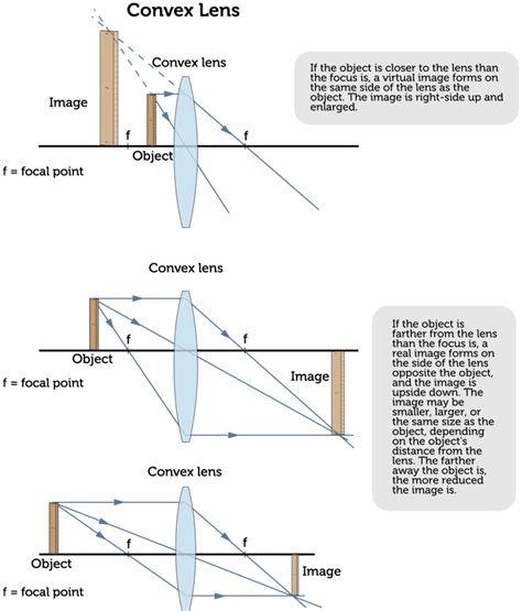 Lens ( Read ) | Physical Science | CK-12 Foundation