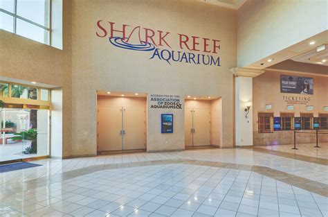 Shark Reef - Mandalay Bay Las Vegas | Photos, Reviews and Information