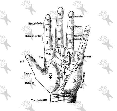 Vintage Hand Map Palmistry Image Instant Download Digital | Etsy