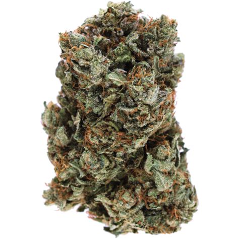 Green Crack: Massively Potent And Therapeutic Sativa | MMJDirect