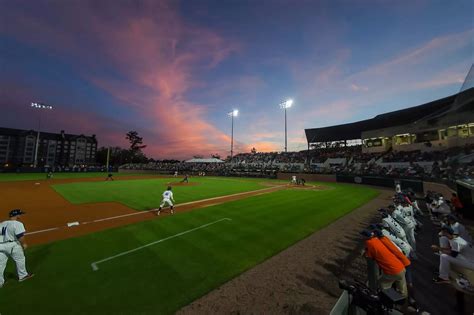 Auburn Baseball