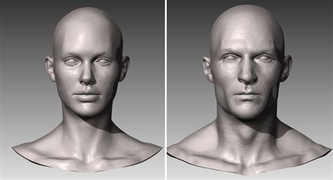 Realistic White Male and Female Head Bundle | 3D model | Female head, Male vs female, Female anatomy