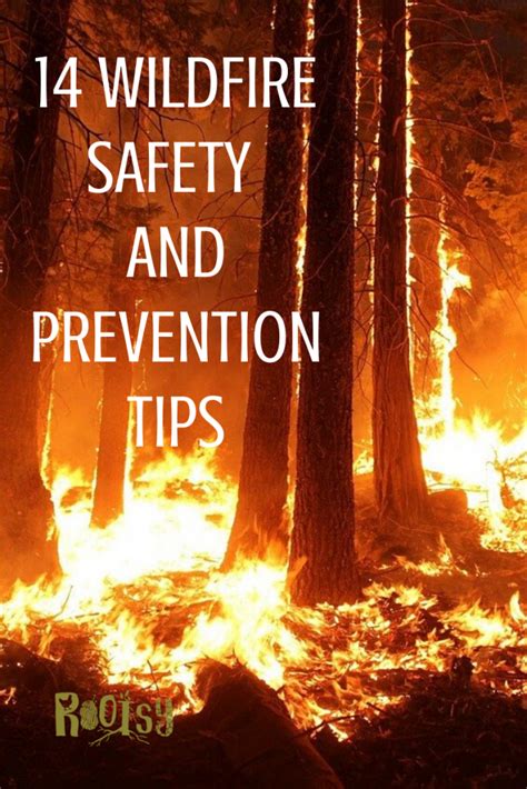 14 Tips for Wildfire Safety and Prevention at Home - Rootsy Network