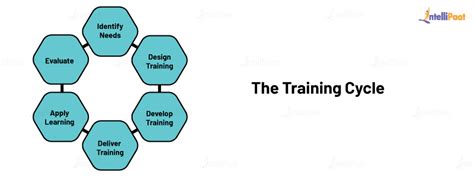 What is Training Process? - Learn about Training Cycle with Diagram