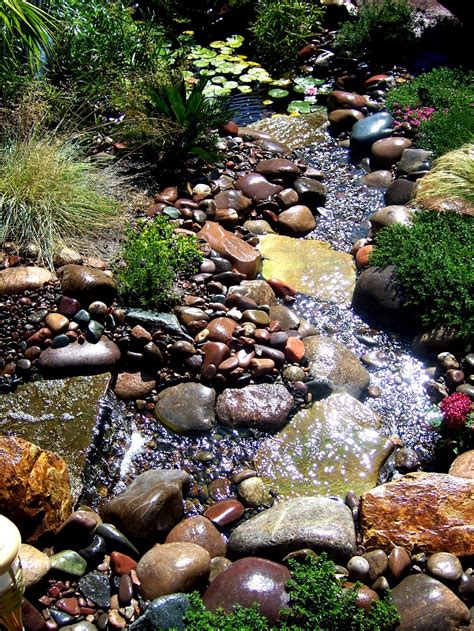 The 2 Minute Gardener: Photo - Tropical Water Feature