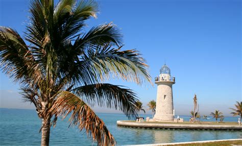 Enjoy Florida Wildlife in These 5 State Parks | Carl's Van Rental