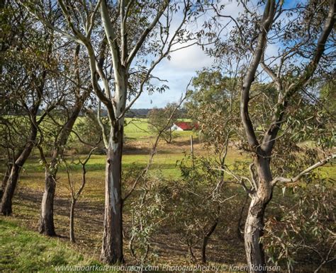 Greenvale, Victoria – Australia ‘Woodlands Historic Park’ Photographed ...