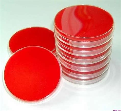 Sheep Blood Agar Plate at Rs 30/piece | Blood Agar Plate in Mumbai | ID ...