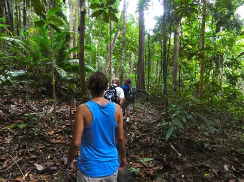 Tanjung Datu National Park - where the Borneo rainforest meets the sea