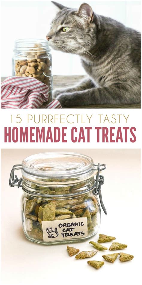 15 Purrfect Homemade Cat Treats to Spoil Your Kitty