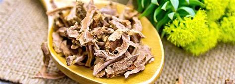 Benefits of Rhodiola Rosea And Its Side Effects | Lybrate