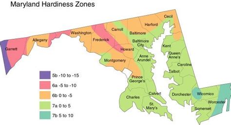 19+ Planting Zones Maryland - MorisiaAzwah