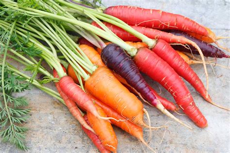 The Best Carrot Varieties for the Home Garden | luv2garden.com