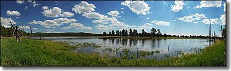 Kaibab National Forest Trails