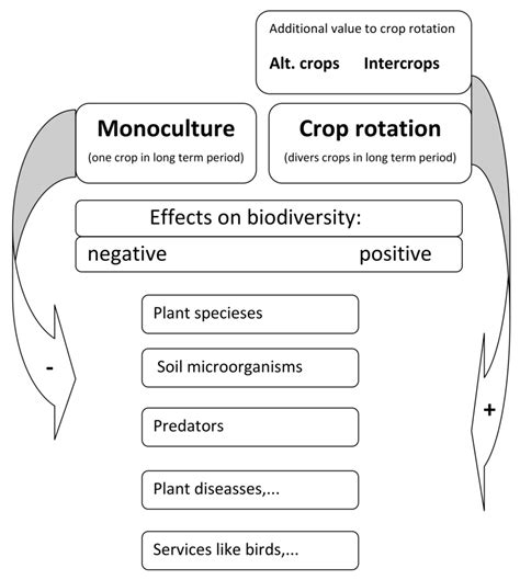 Comparison of negative effects of monoculture and positive effects of ...