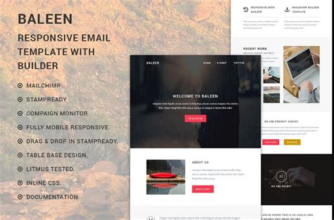 15+ Responsive Email Template HTML- Premium Templates - Graphic Cloud