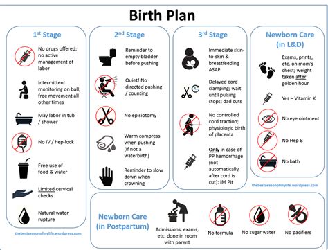 A Downloadable Visual Birth Plan | Birth plan template