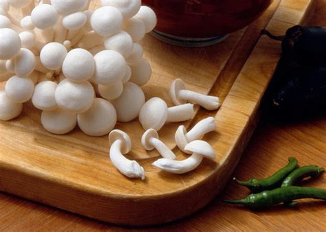 Mushrooms as Functional Foods | Absorbent cotton, medicated cotton ,zig-zag cotton,oyster ...