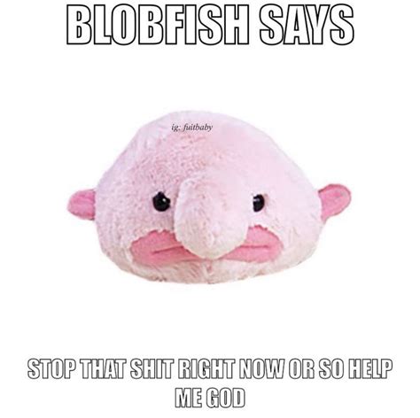 Blob fish meme | Fishing memes, Sweet memes, Mood pics