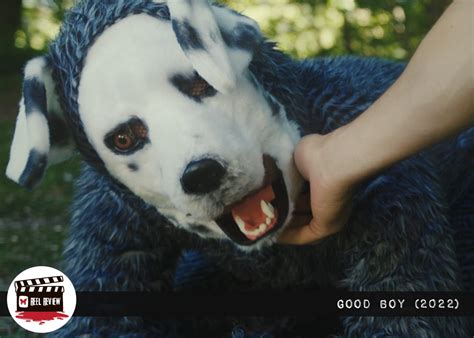 Reel Review: Good Boy (2022) - Morbidly Beautiful