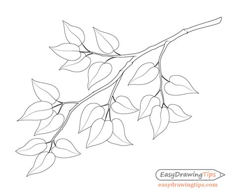 How to Draw a Tree Branch With Leaves - EasyDrawingTips