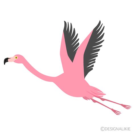 Flamingo Flying Clip Art