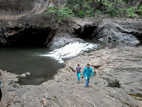 Anshi National Park (Dandeli) - 2020 What to Know Before You Go (with Photos) - Tripadvisor