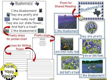 Texas Bluebonnet Poem ~ Poetry Page and Writing Activity | TPT