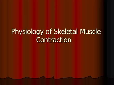 PPT - Physiology of Skeletal Muscle Contraction PowerPoint Presentation - ID:6257894