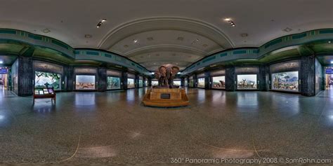 Akeley Hall of African Mammiferi :: Museo di Storia Naturale di New York :: :: 360 ° Panorama ...