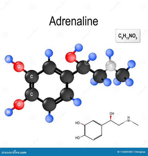 Structural Chemical Formula and Model of Molecule of Adrenalin Stock Vector - Illustration of ...