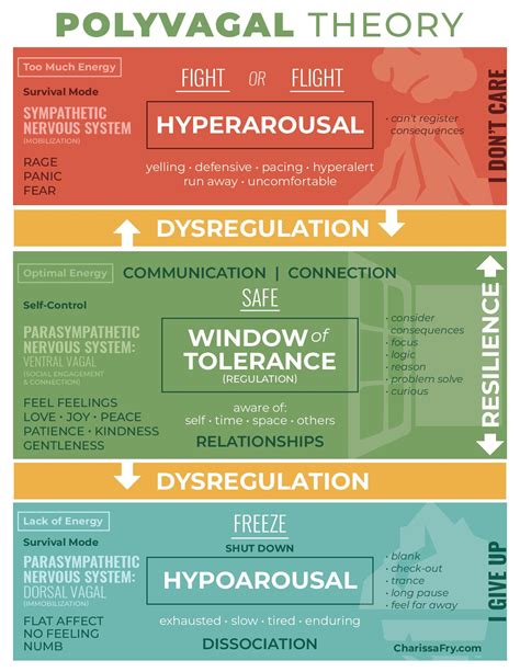 Polyvagal Theory Infographic - Charissa Lopez Counseling