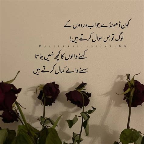 Pin on urdu shayari