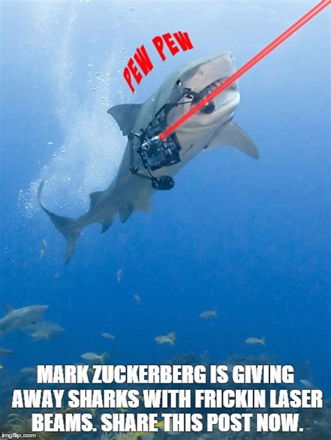 Mark Zuckerberg, Sharks with laser beams. - Imgflip