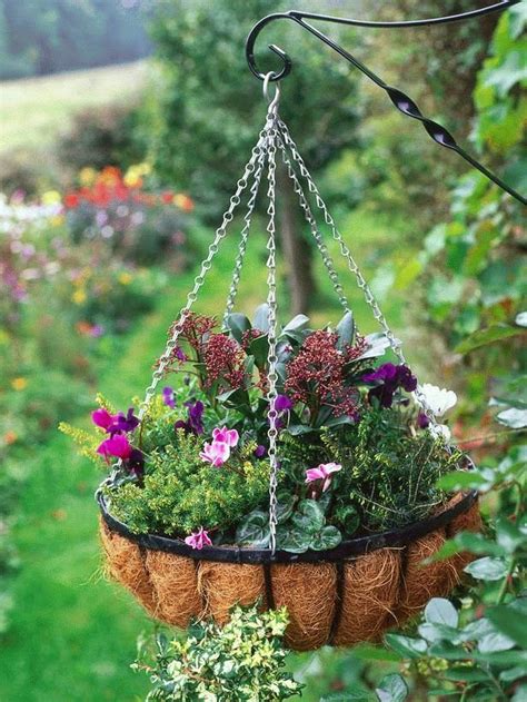 #Gardening : How To Plant a Winter Hanging Basket - My Favorite Things