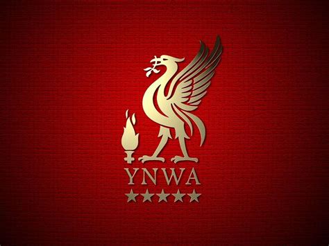 Liverpool FC Wallpapers - Top Free Liverpool FC Backgrounds ...