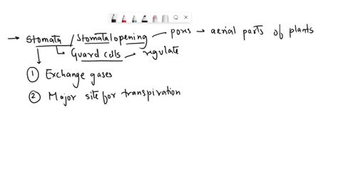 SOLVED: The stomatal density of desert plants is smaller than that of marsh plants. Explain the ...