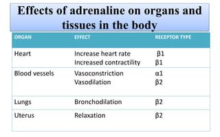 Adrenaline & Noradrenaline | PPT