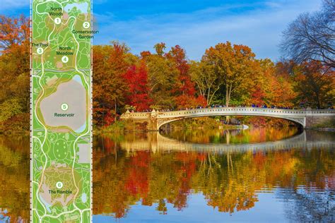 MAP: Find the colorful fall foliage of Central Park’s 20,000 trees | 6sqft