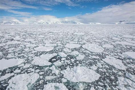 Antarctic sea ice is declining dramatically and we don’t know why | New Scientist