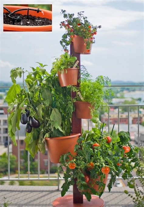 Pin by Sstoner on Ideas (With images) | Vertical vegetable gardens, Indoor vegetable gardening ...