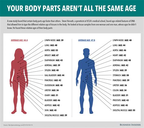 Some Parts Of Your Body Age Faster Than Others