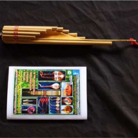 Flute Wote Bamboo Laos Handmade Isan Musical Instrument Thai Wot Panpipe Key Am | eBay