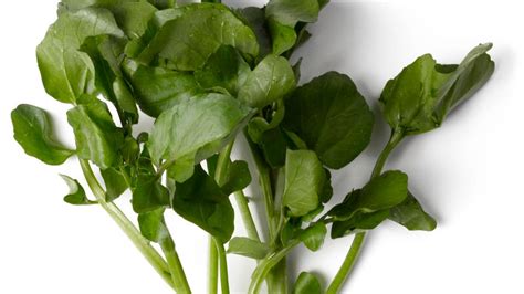 How To Eat Watercress | Epicurious