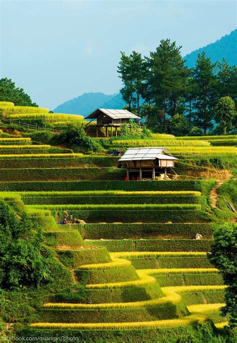 Trekking sapa tour from hanoi vietnam travel 2023 24 hanoi to sapa ...