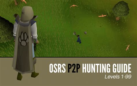 Old School RuneScape | 1-99 Hunter Training Guide (P2P) | HGG