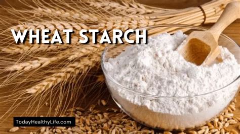 What is wheat starch: benefits, substitute, is it gluten free & more