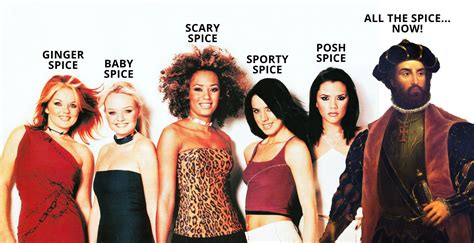 Spice Girls 6th Member - Re-Re-Fixed : r/funny