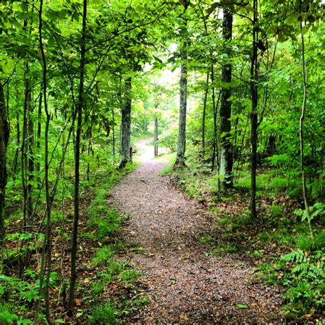 North Country National Scenic Trail - Copper Falls State Park, WI North Country Trail, Country ...