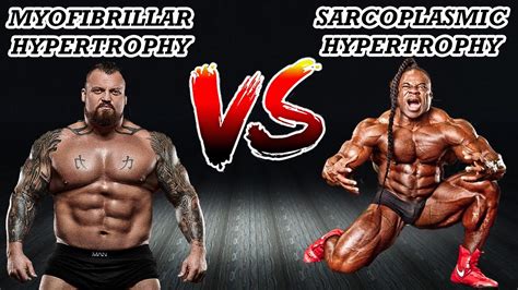 Myofibrillar Hypertrophy Training Program | EOUA Blog